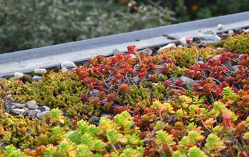 the cost of Muthill green roof installation