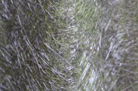 Muthill fibreglass roof work